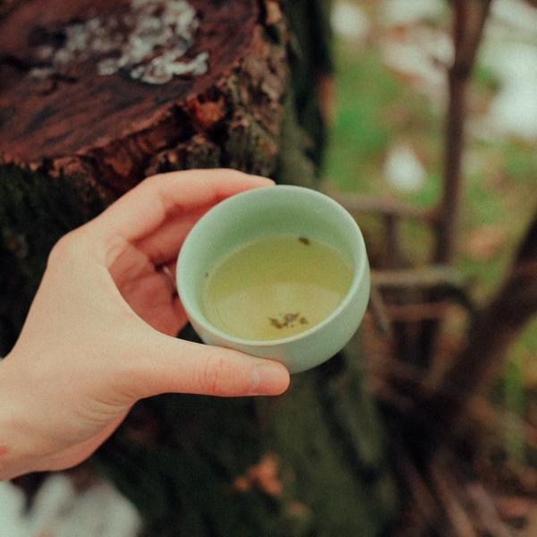 Бай Му Дань «Белый пион» 2023 г. Бай Му Дань «Белый пион» 2023 г.