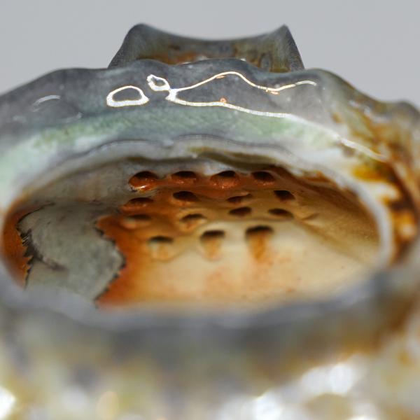 Гайвань сиборидаси «Каменная ириска» Дэхуа 120&nbsp;мл