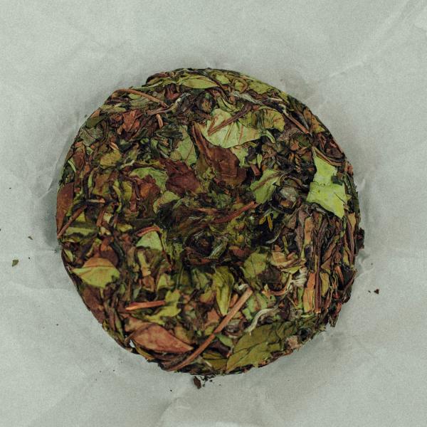 Бай Му Дань «Белый пион» 2023 г. Бай Му Дань «Белый пион» 2023 г.