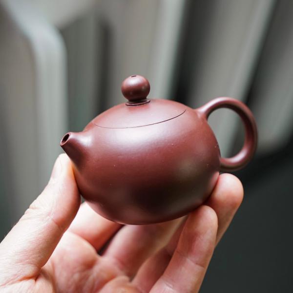 Исинский чайник «Си Ши» 90 мл фото