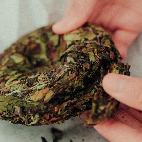 Бай Му Дань «Белый пион» 2023 г. Бай Му Дань «Белый пион» 2023 г.