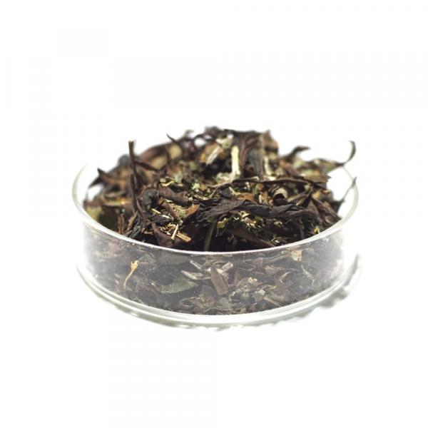 Травяной чай «Светел и свеж» с зизифорой и зверобоем