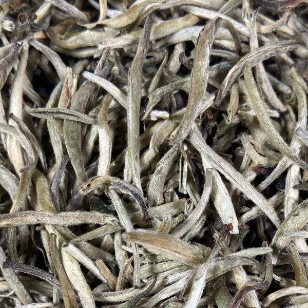 Белый чай Байхао Инчжэнь фото
