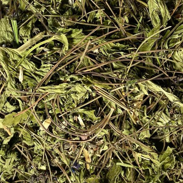 Травяной чай «Эпос долголетия» с зизифорой и малиной фото