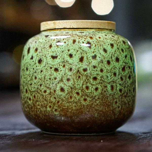 Чайница «Киви» керамика 250 мл фото